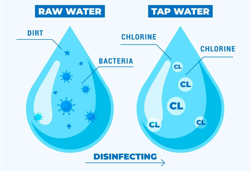 An infographic comparing a droplet of raw water containing dirt and bacteria to a droplet of tap water containing chlorine, illustrating the disinfection process.